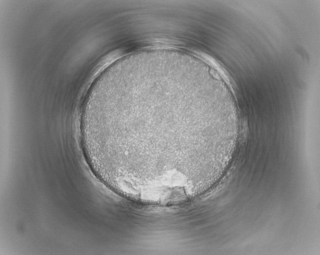 X0000114511243200911301141