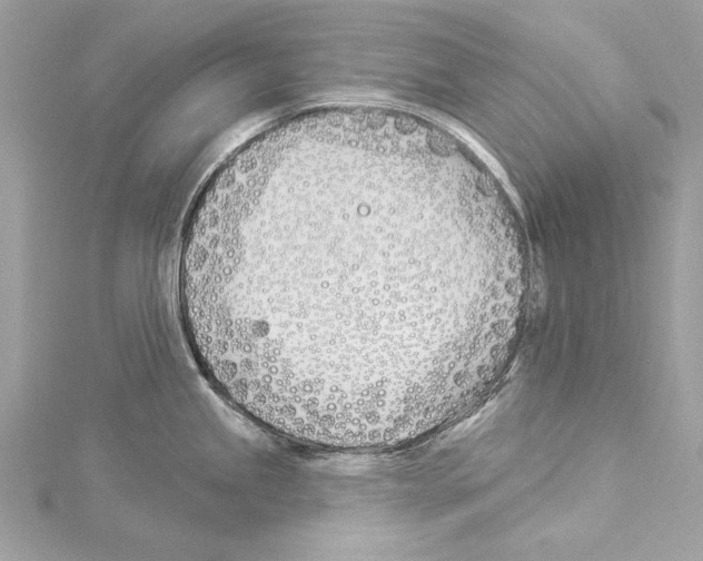 X0000114511245200911301141