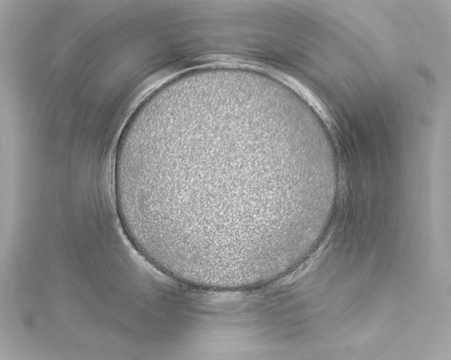 X0000114511247200911301141