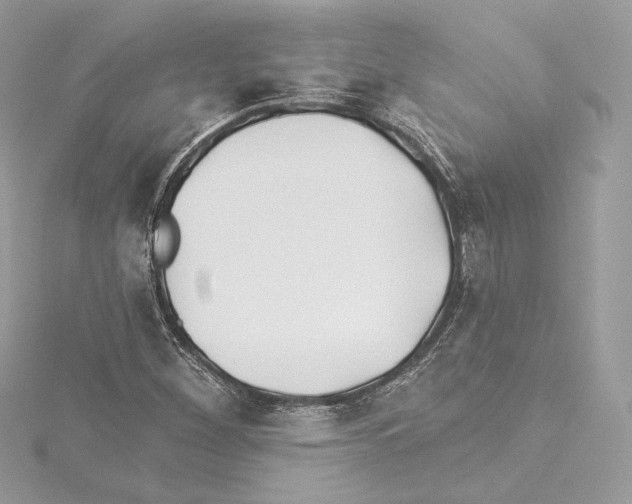 X0000114511260200911301140