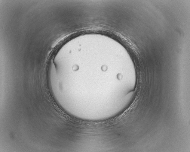 X0000114511262200911301140