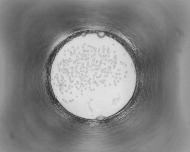 X0000114511263200911301140