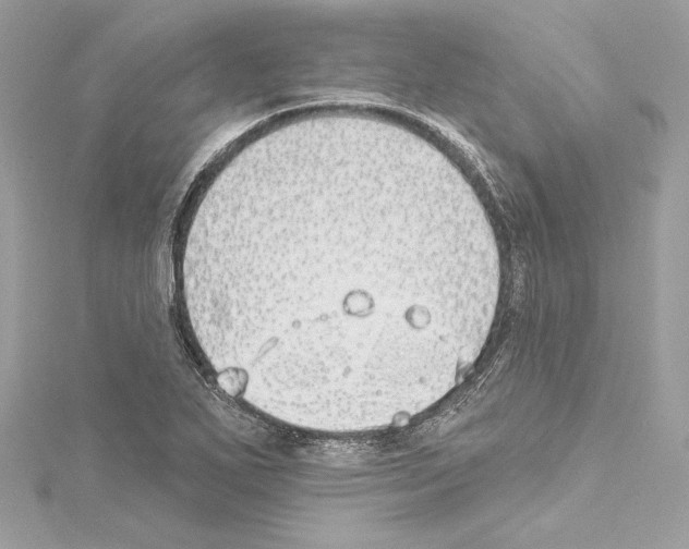 X0000114511271200911301140