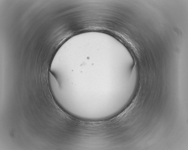 X0000114511273200911301140