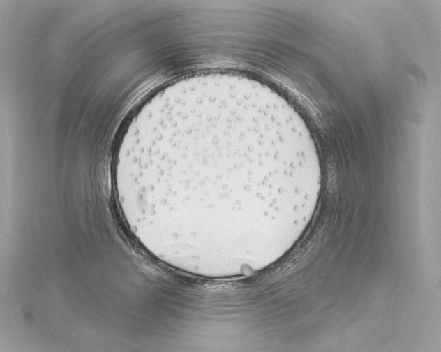 X0000114511274200911301140