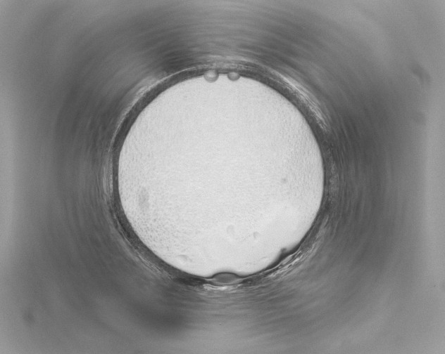 X0000114511275200911301140