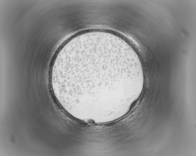 X0000114511279200911301140