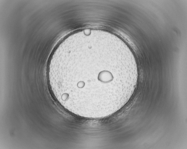 X0000114511283200911301140