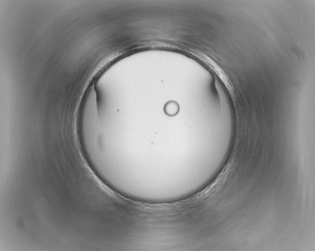 X0000114511285200911301140