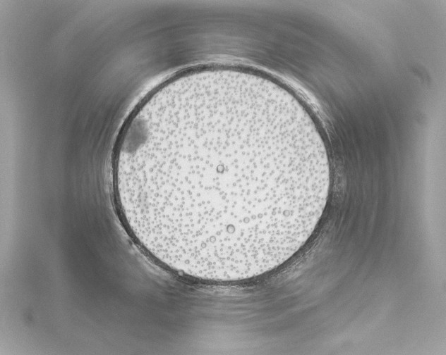 X0000114511287200911301140