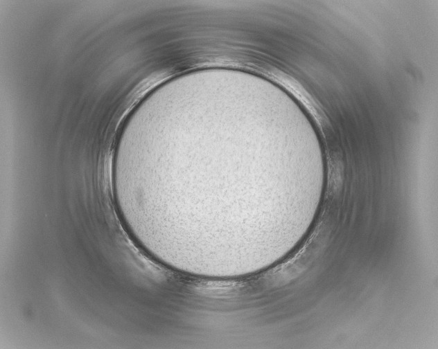 X0000114511290200911301140