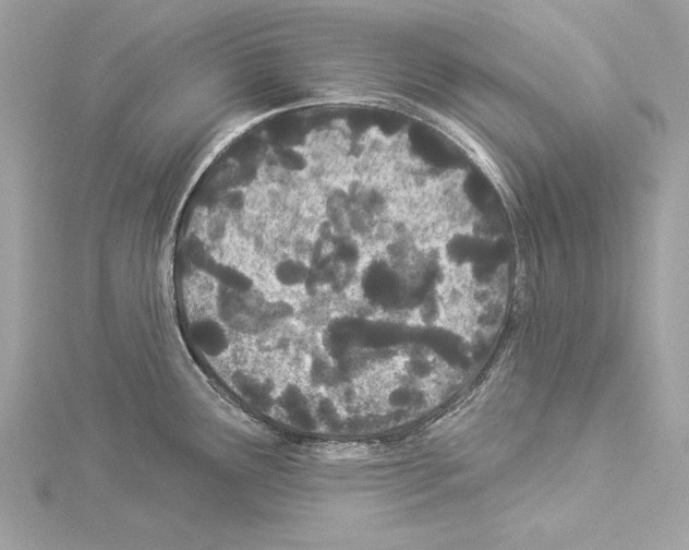 X0000114511291200911301140