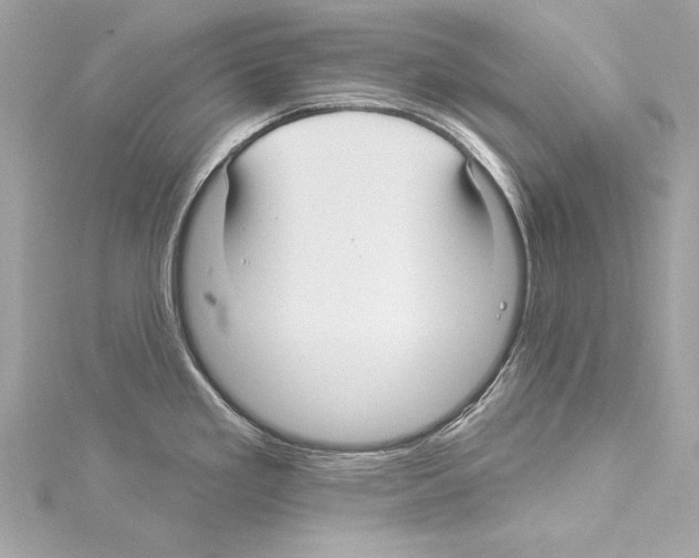 X0000114511293200911301140