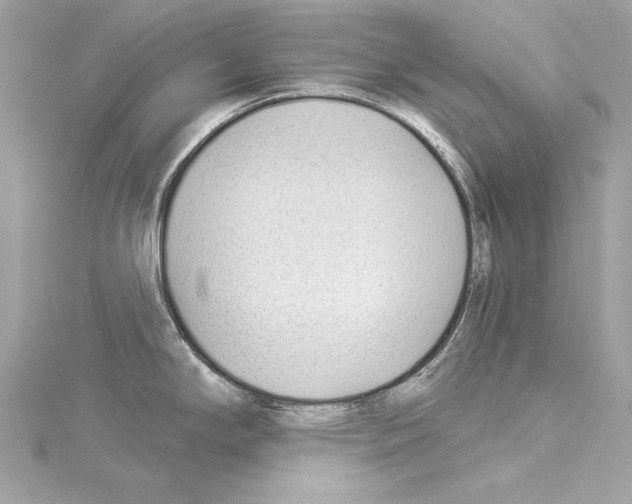 X0000114511294200911301140