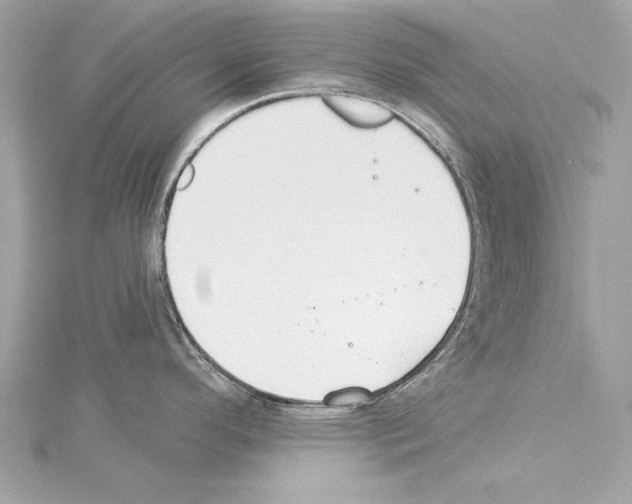 X0000114511296200911301140