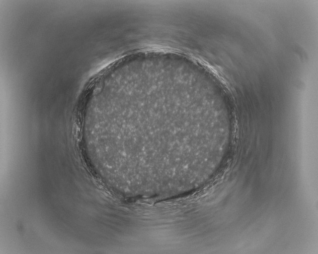 X0000114511303200911301139