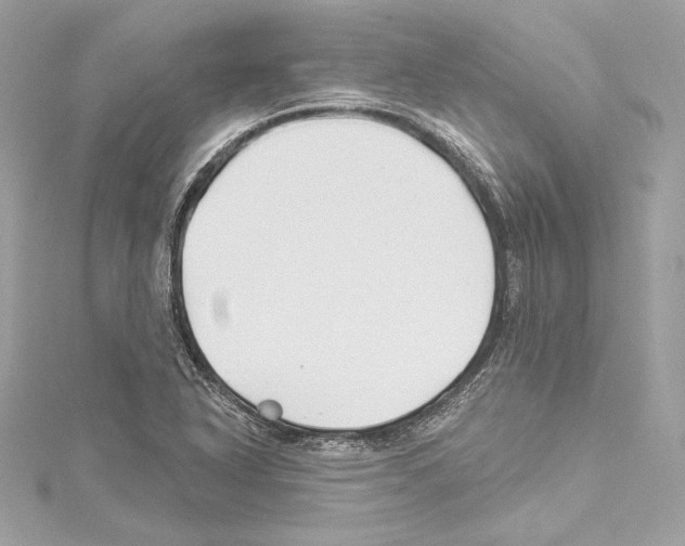 X0000114511318200911301140