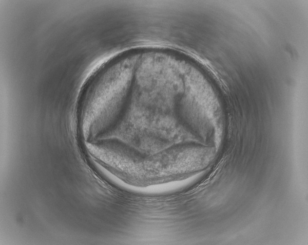 X0000114511319200911301140