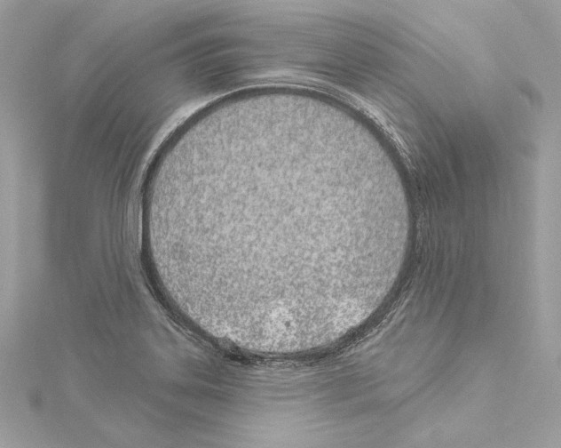 X0000114511323200911301140