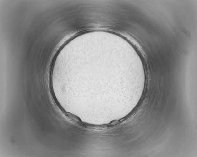 X0000114511333200911301140