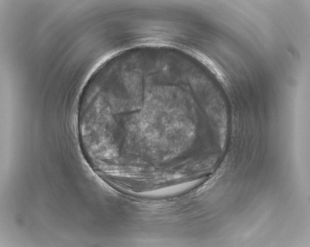 X0000114511334200911301140