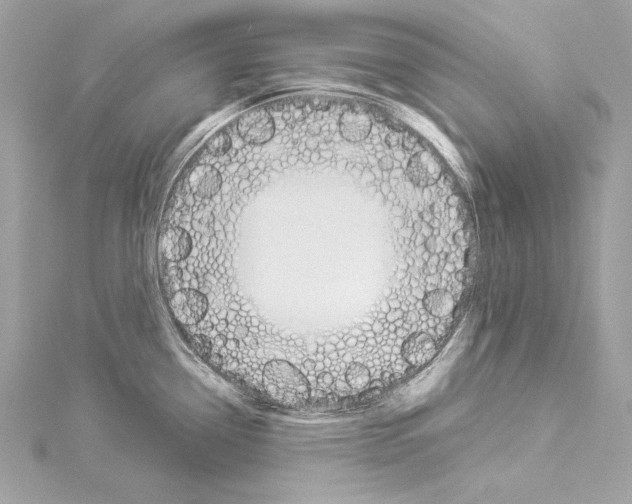 X0000114511338200911301140