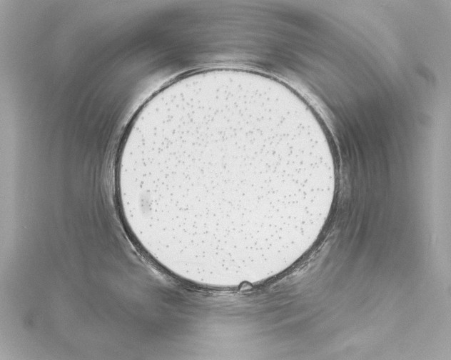 X0000114511341200911301140