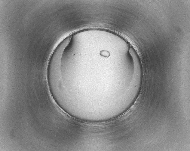 X0000114511342200911301140