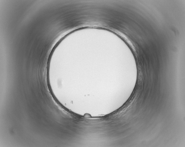 X0000114511343200911301140