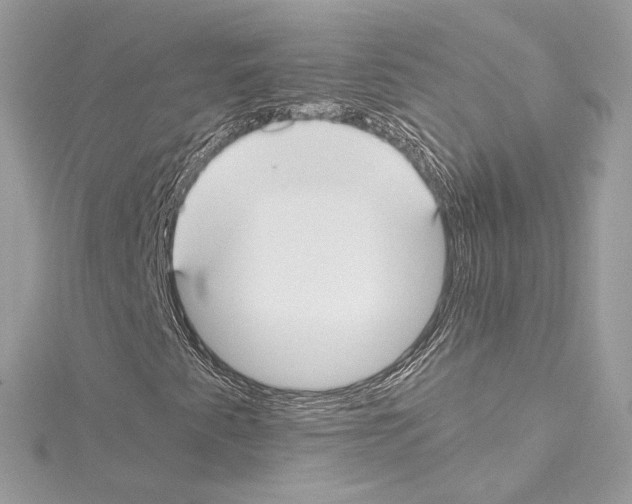 X0000114511345200911301139