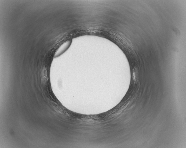 X0000114511347200911301139