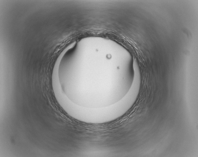 X0000114511349200911301139