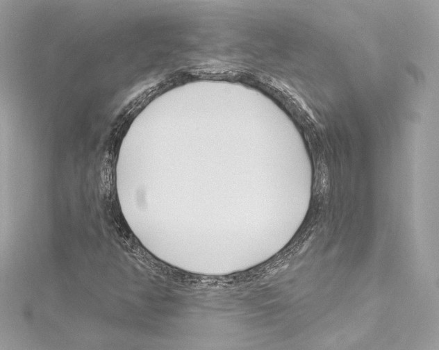 X0000114511350200911301139