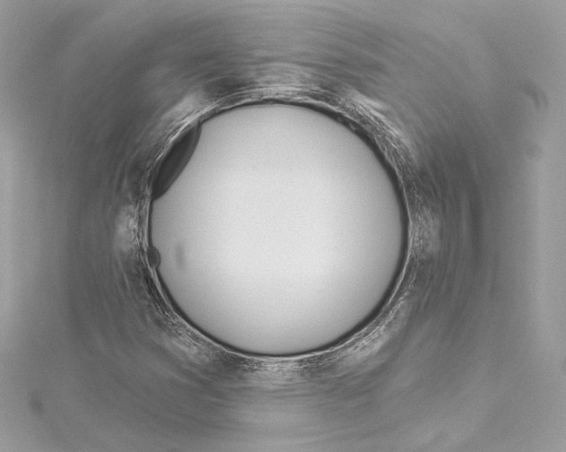 X0000114511353200911301139