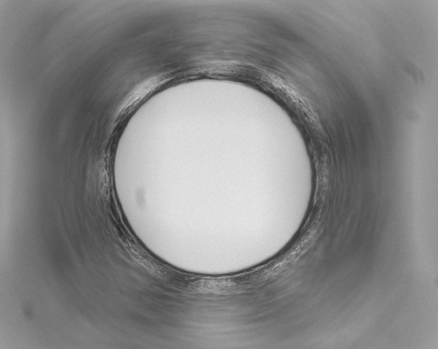 X0000114511354200911301139