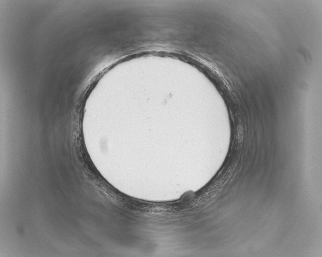 X0000114511359200911301139