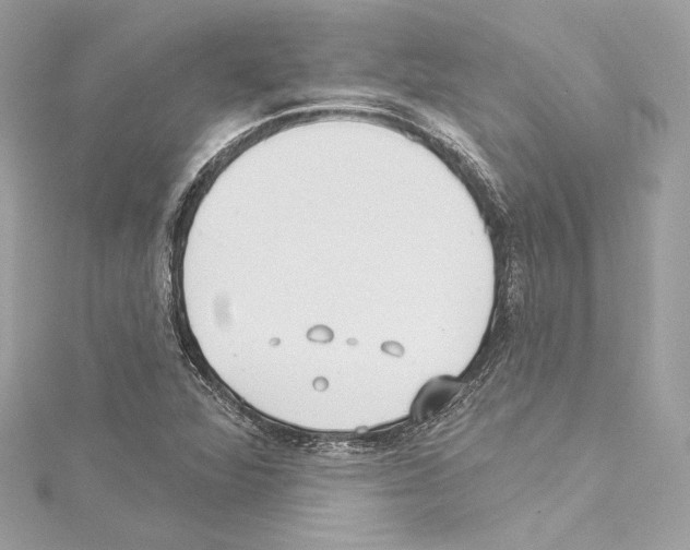 X0000114511360200911301139