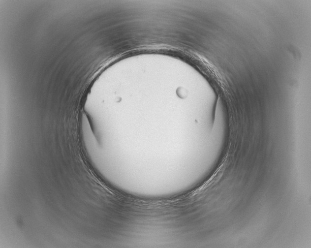 X0000114511361200911301139