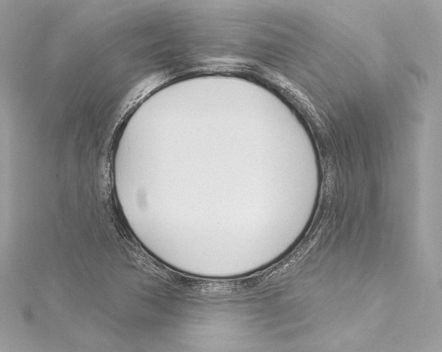 X0000114511362200911301139