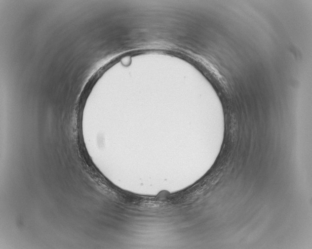 X0000114511364200911301139