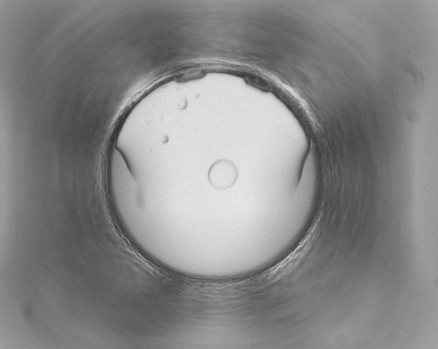 X0000114511365200911301139