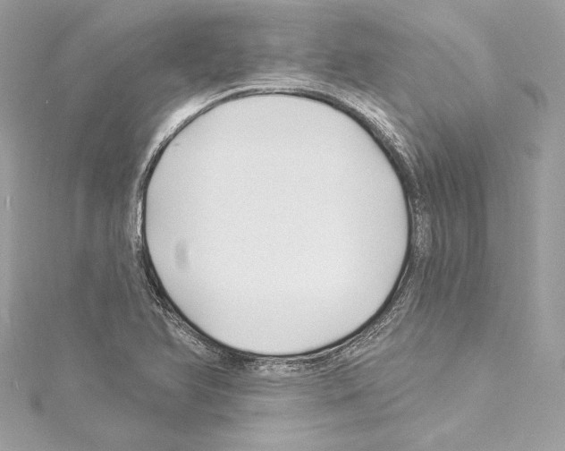 X0000114511366200911301139