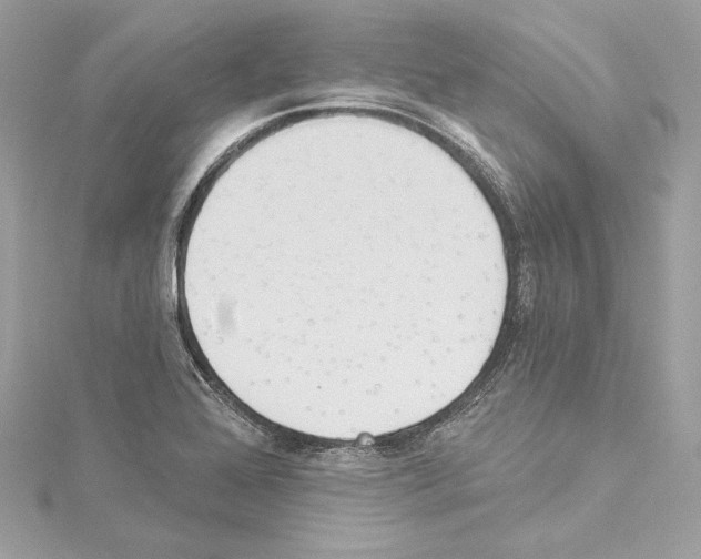 X0000114511368200911301139