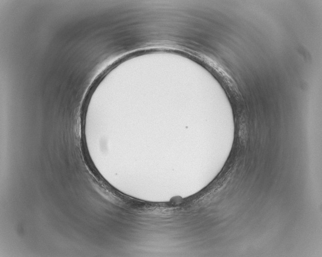 X0000114511372200911301139