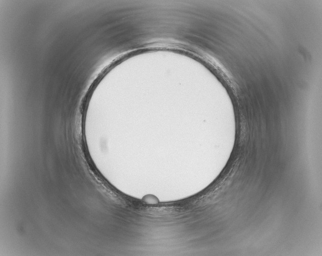 X0000114511376200911301139