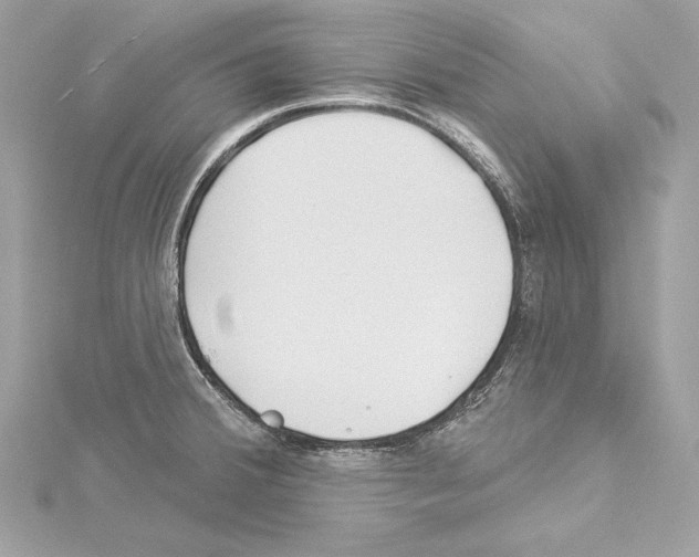 X0000114511380200911301139