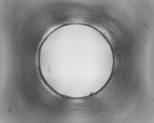 X0000114511382200911301139