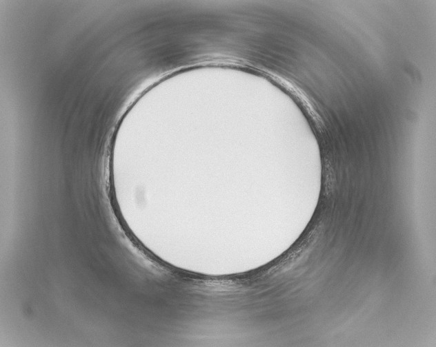 X0000114511383200911301139