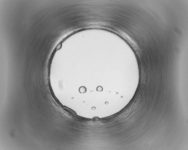 X0000114511384200911301139