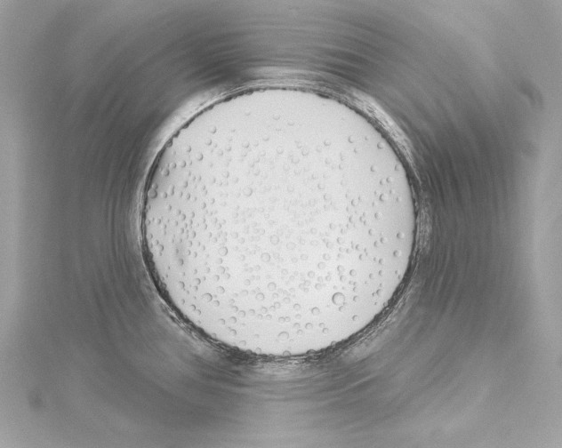 X0000114511386200911301139